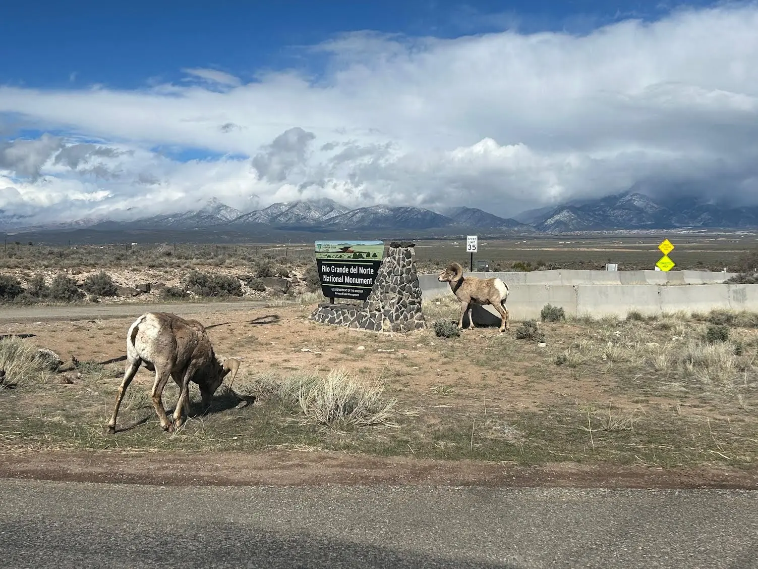 Mount view of the rio grande valley with mountain goats in the background