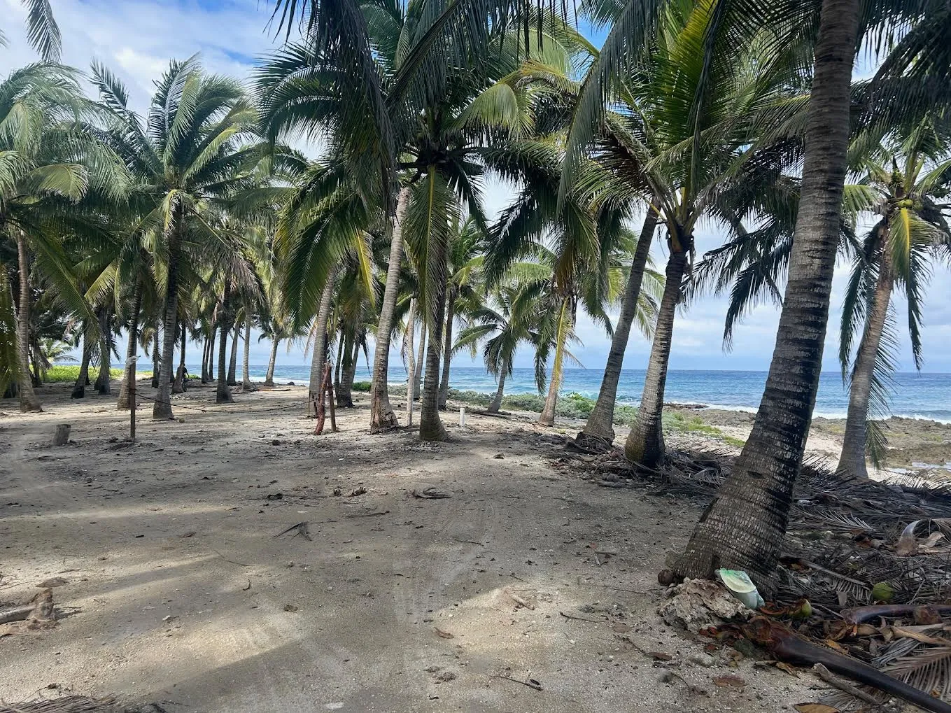 View of airport beach