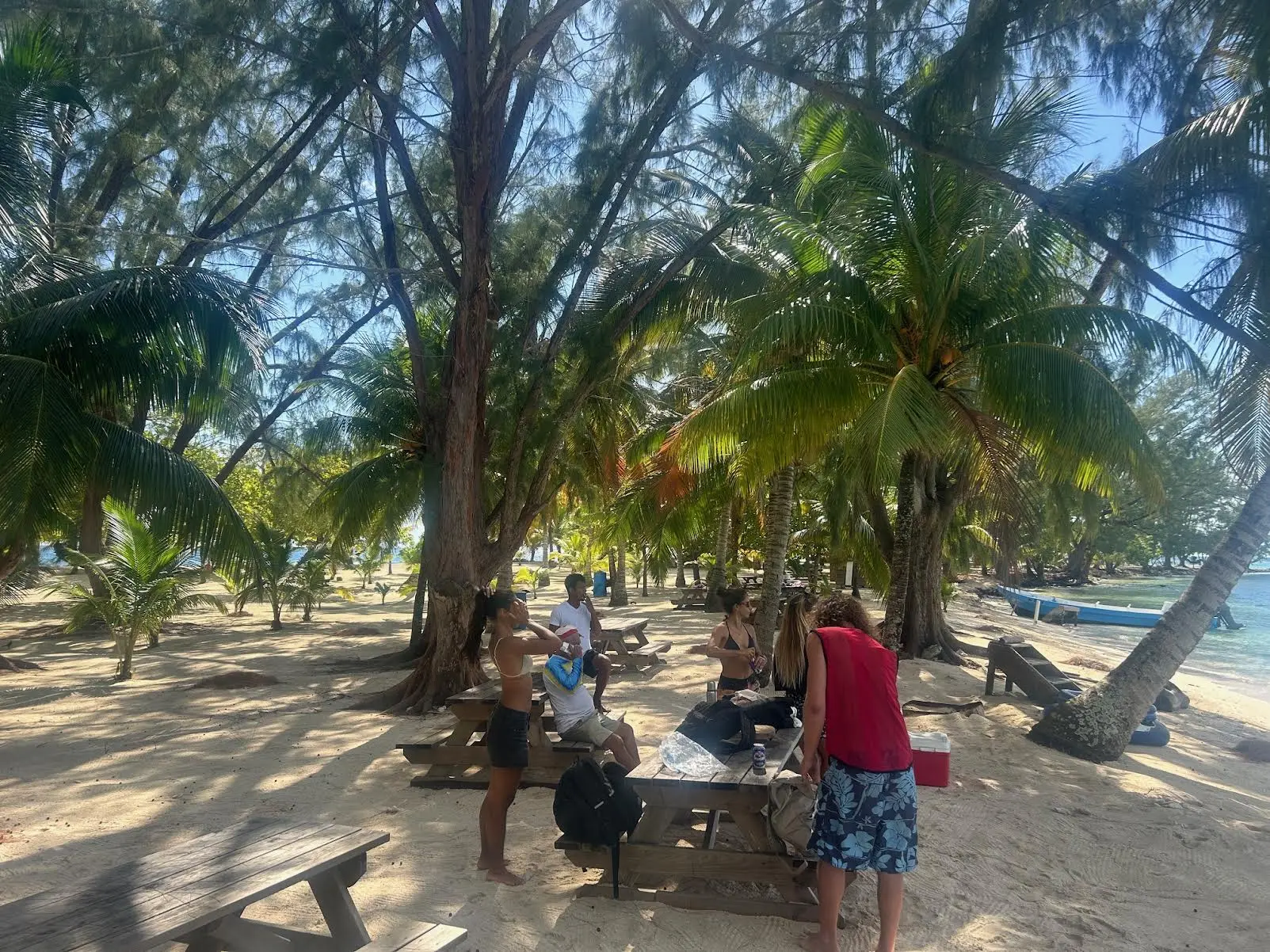 water cay tropical island beach