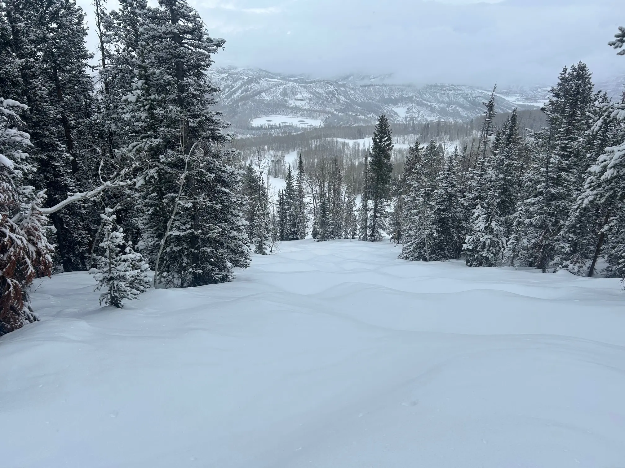 Clearing in the trees mogul run after a nights fresh snow